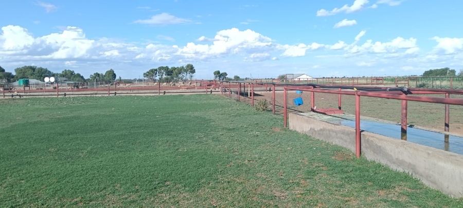 13 Bedroom Property for Sale in Bainsvlei Free State